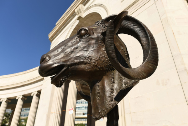 1 Denver Post AWW 600.png