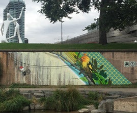 Cherry Creek Trail Urban Art.jpg