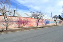 PHO-GrowHaus Mural.jpg