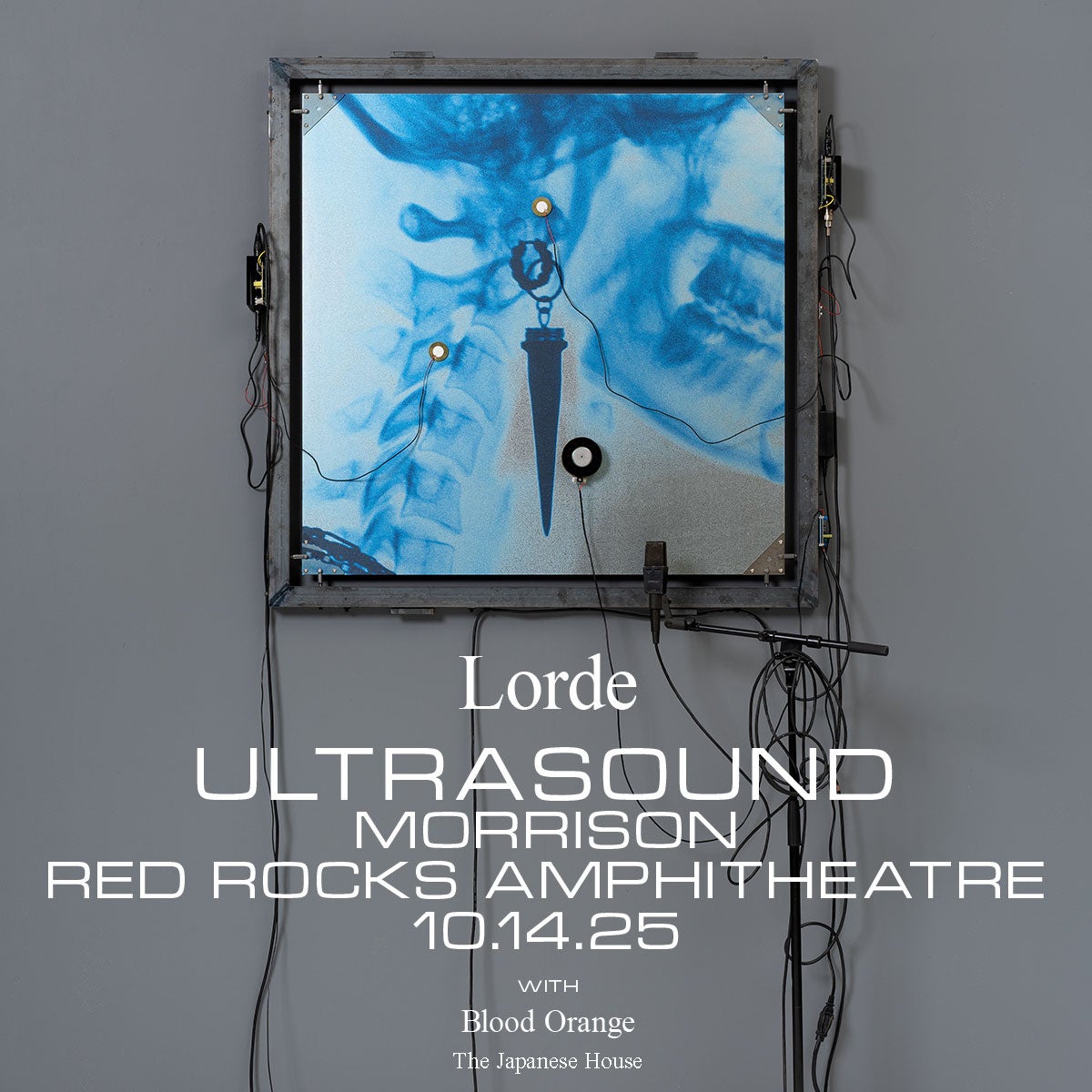 More Info for Lorde