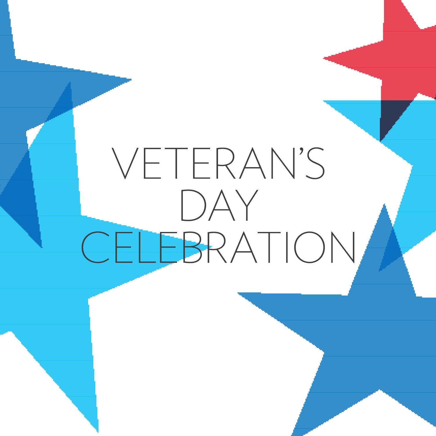 More Info for Veteran's Day Celebration