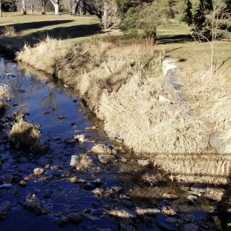 More Info for Denver Public Art Pre-Application Meeting: Cook/Garland Park