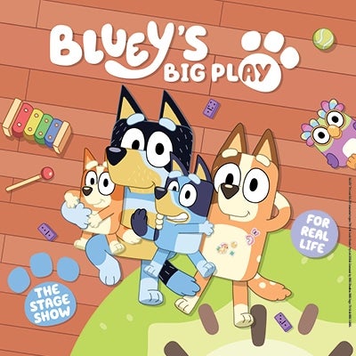 More Info for Bluey's Big Play