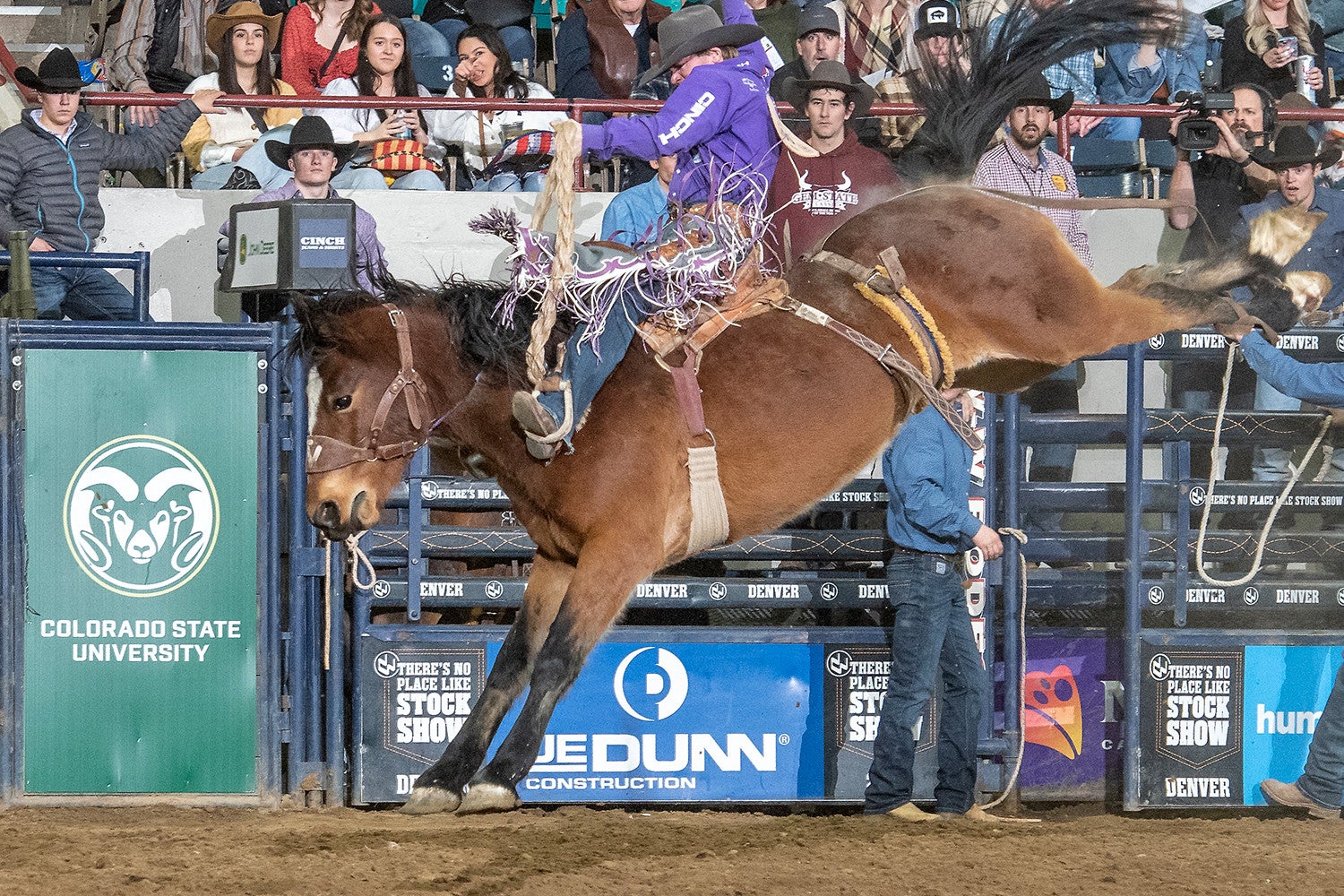 Pro Rodeo - CSU Performance