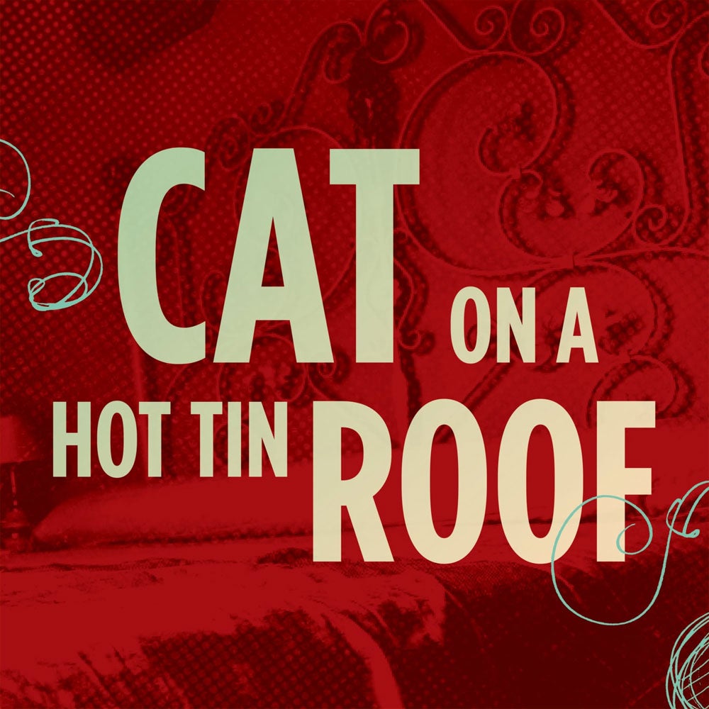 More Info for Cat on a Hot Tin Roof