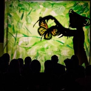 Shadow Puppet event Chambers Grant Salon 300
