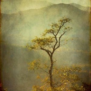 More Info for Finding Grace Artist Talk and Tour