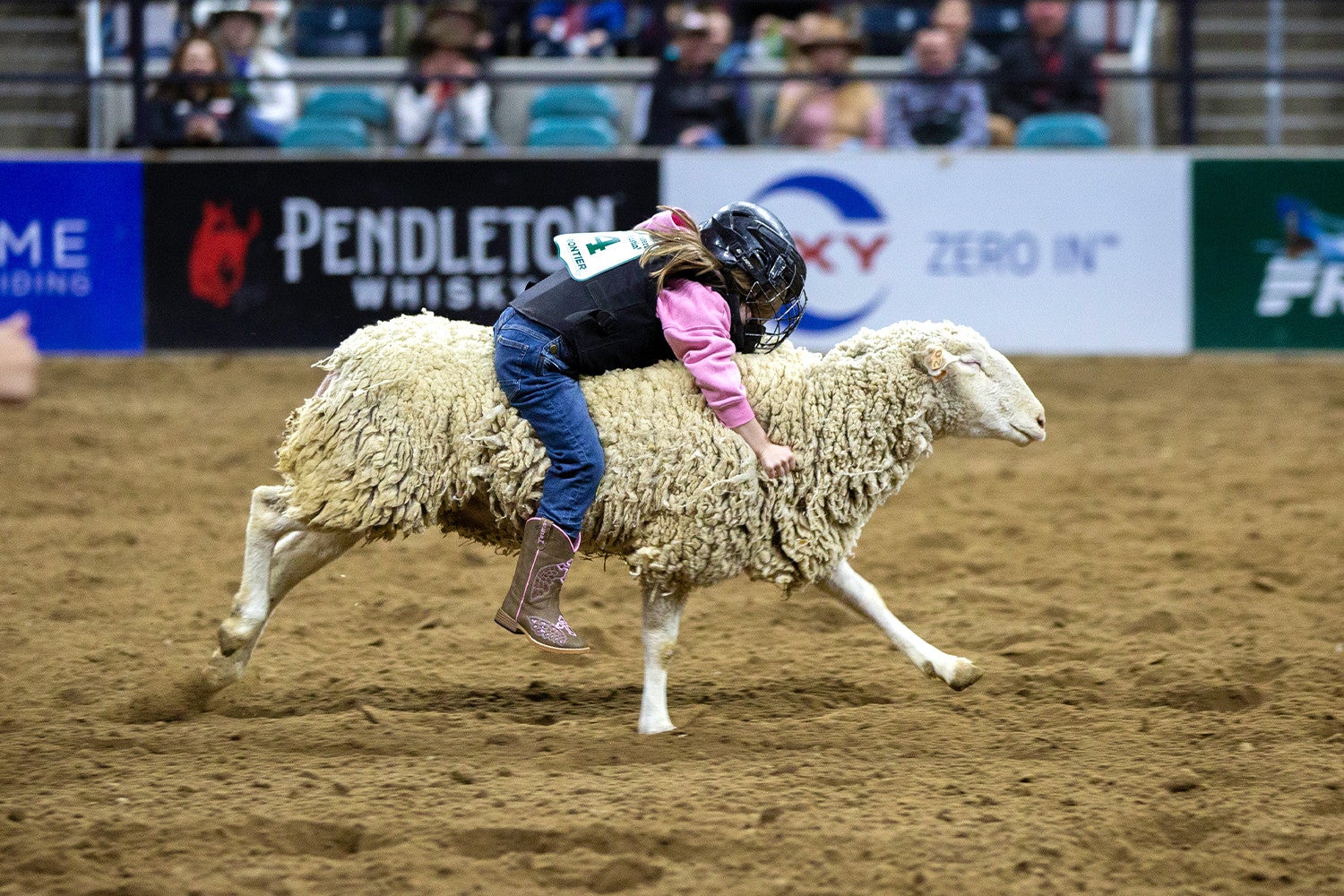 Pro Rodeo