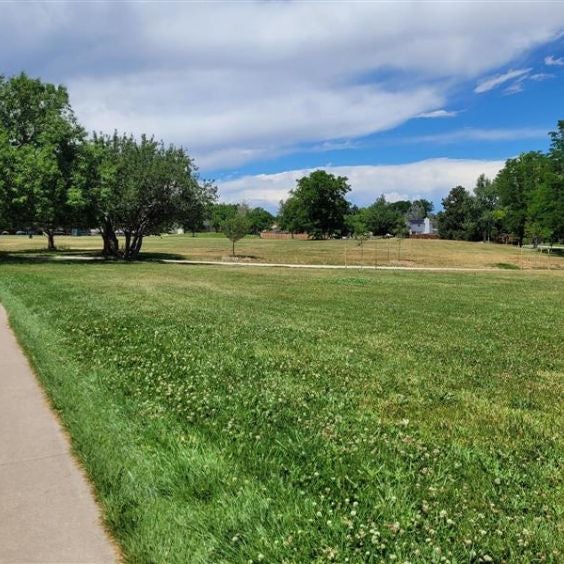 More Info for Denver Public Art Pre-Application Meeting: Rosamond Park