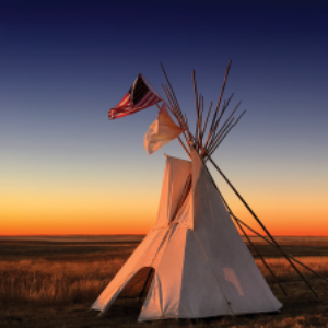 More Info for Understanding the Sand Creek Massacre’s Enduring Legacy: A Knowledge-Building Seminar