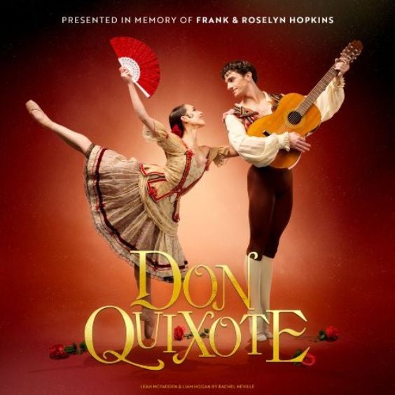 More Info for Don Quixote