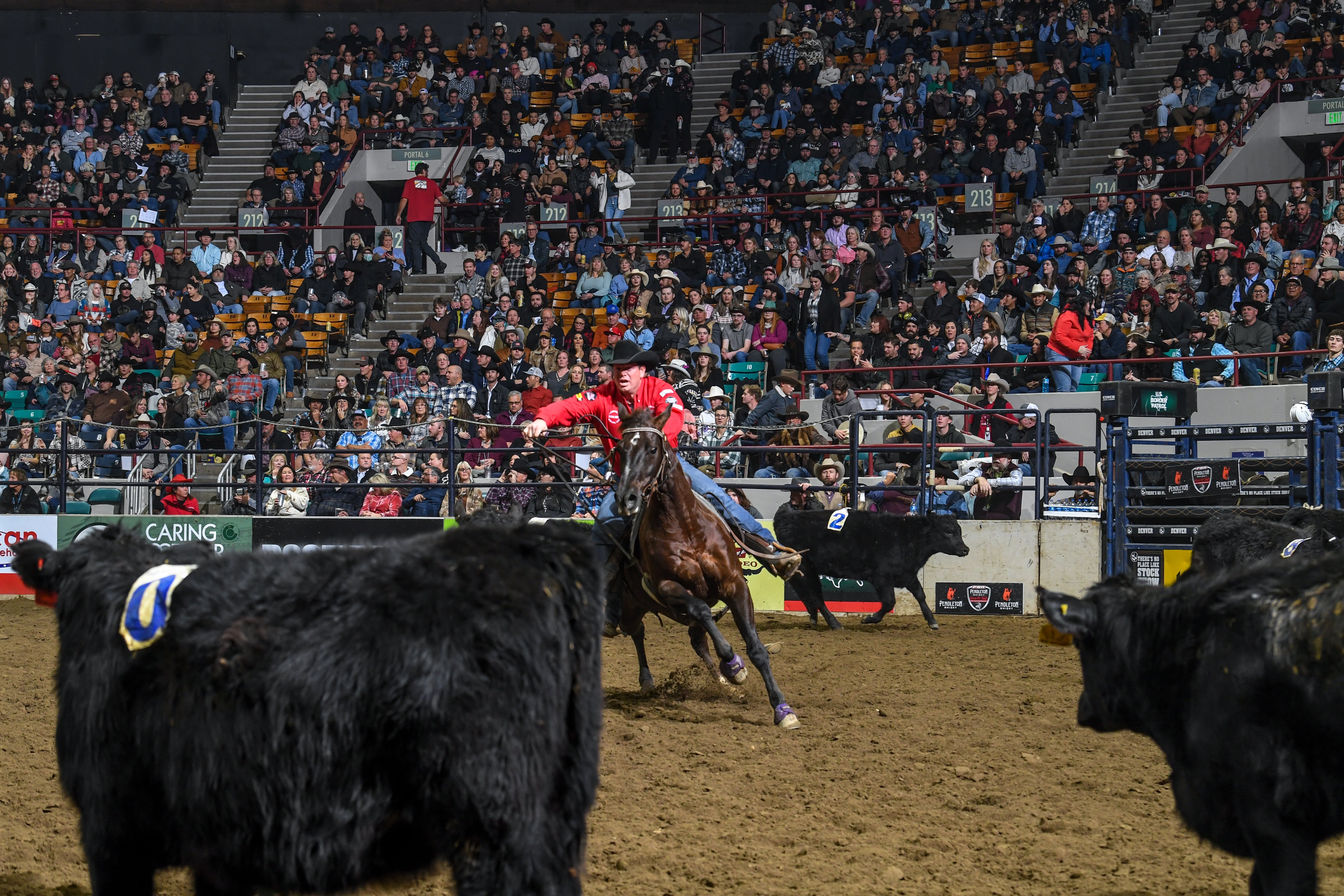 Team Penning