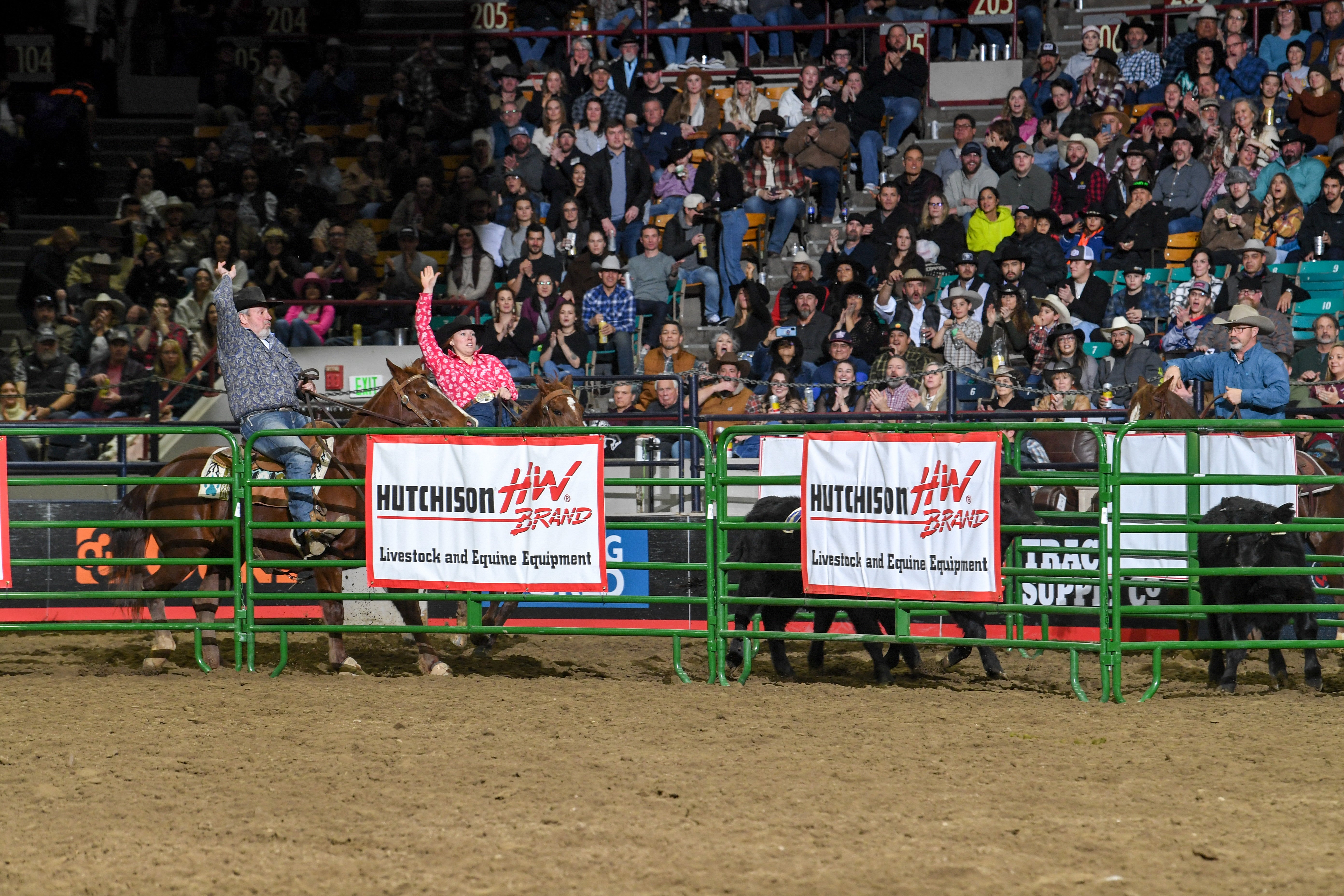 Team Penning