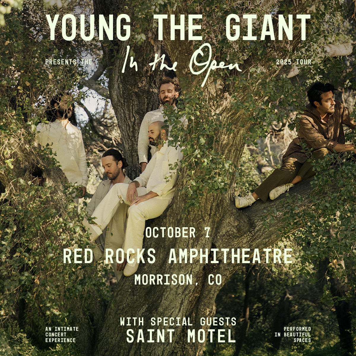 More Info for Young the Giant