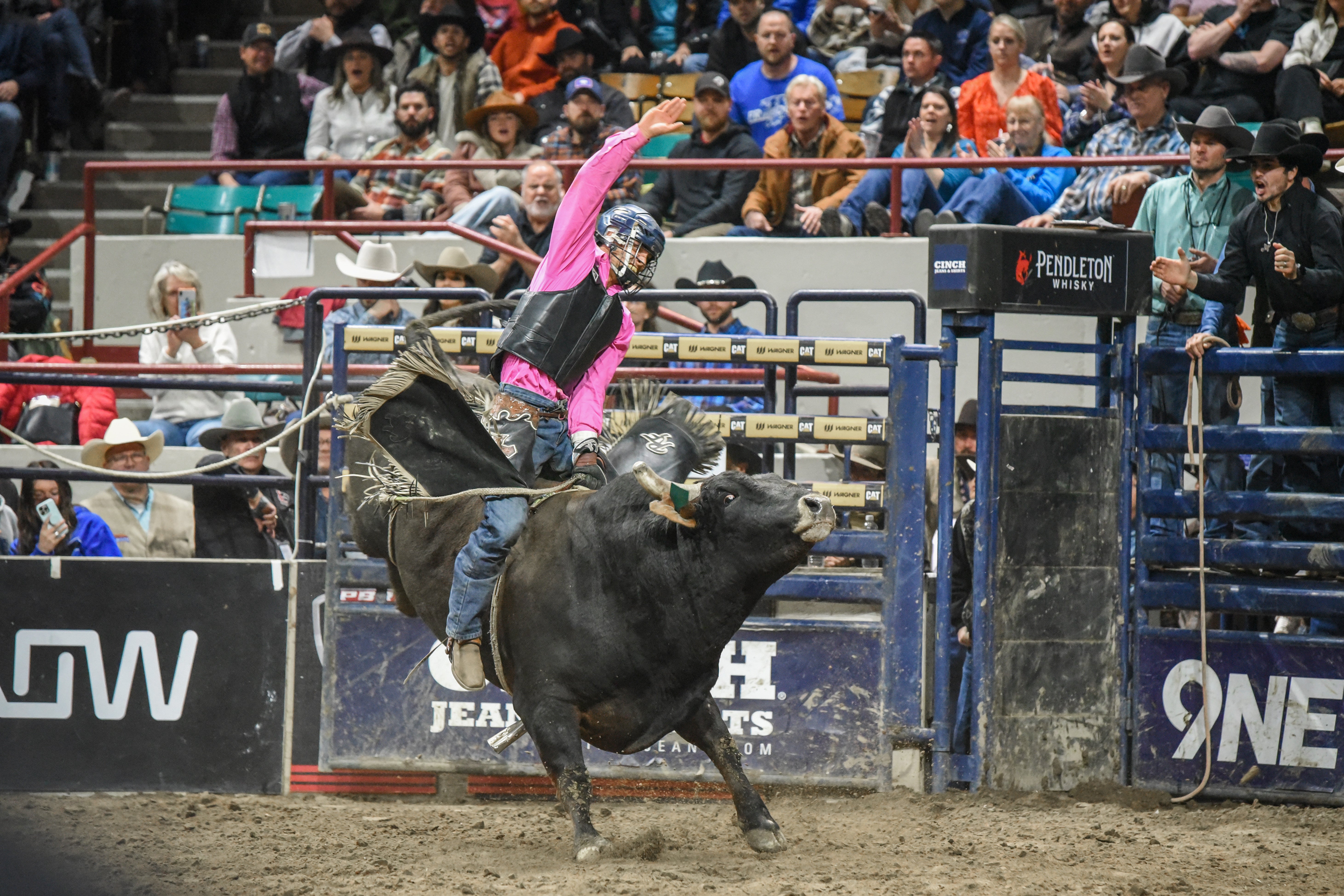 PBR Bull Riding