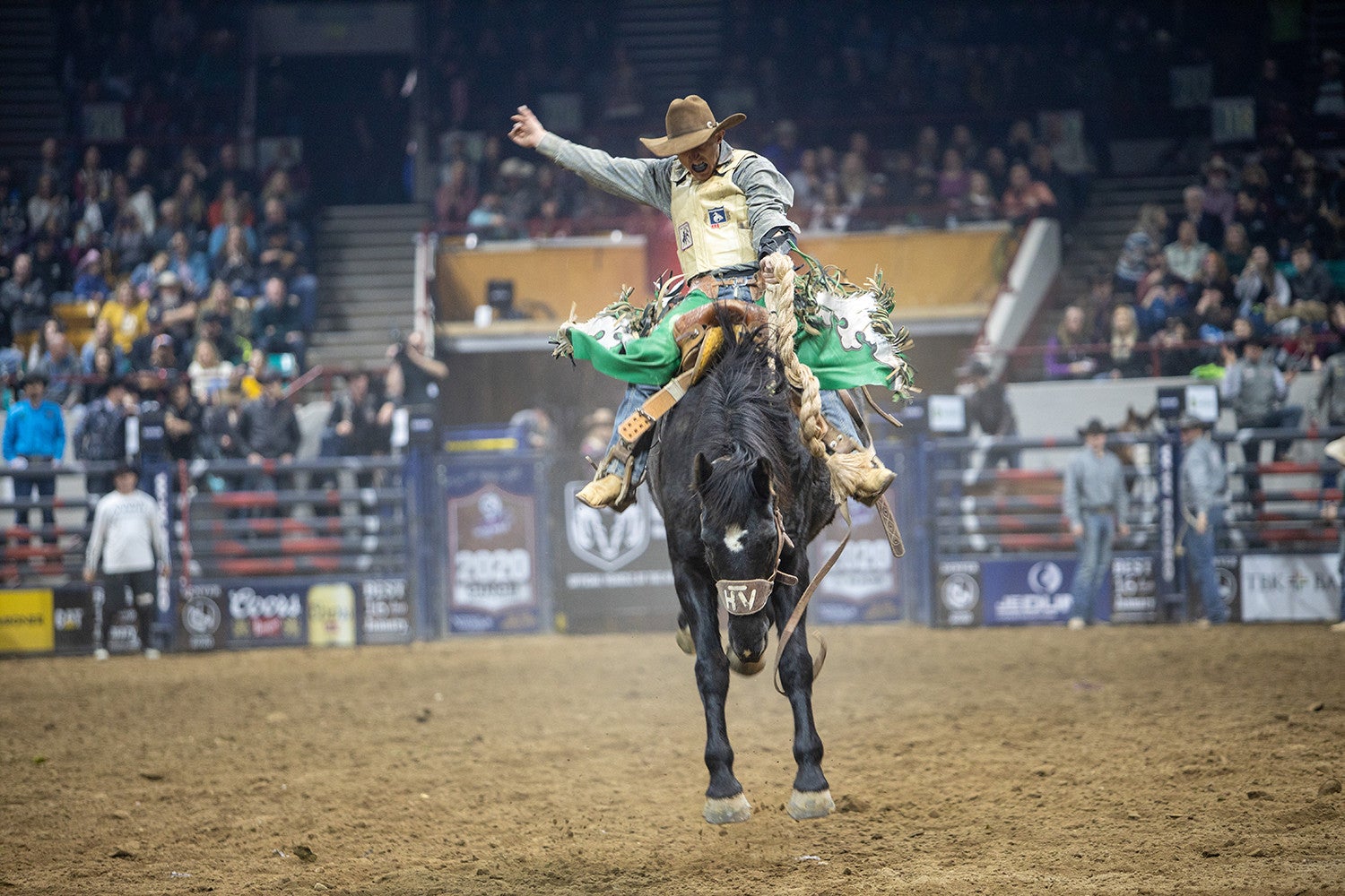 Pro Rodeo – 4-H Day